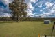 Photo - 137 Lyrebird Road, Pheasants Nest NSW 2574 - Image 4