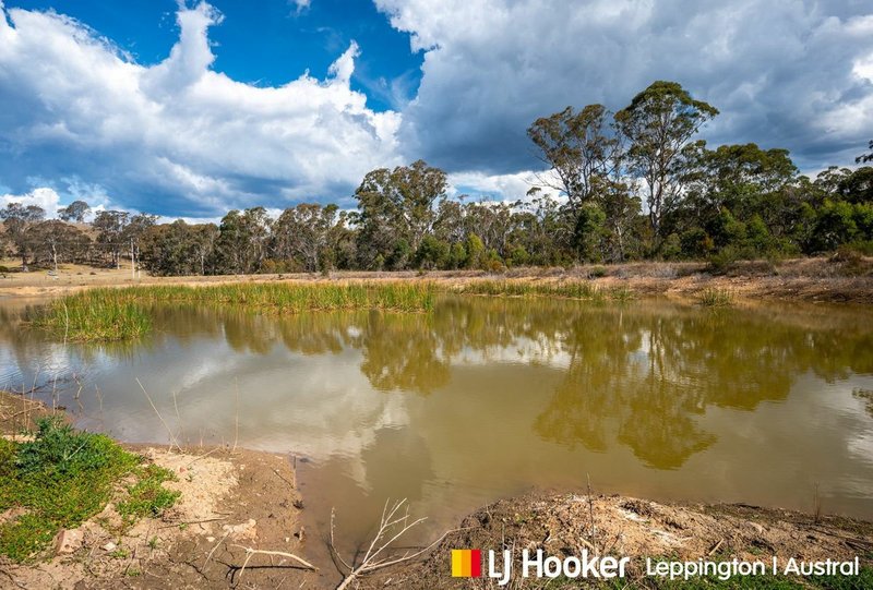 Photo - 137 Lyrebird Road, Pheasants Nest NSW 2574 - Image 12