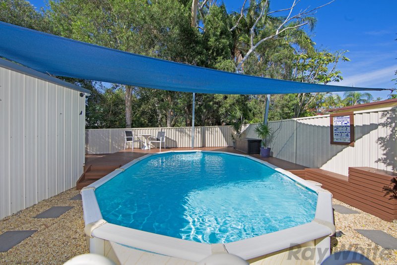 Photo - 137 Manoa Road, Budgewoi NSW 2262 - Image 4