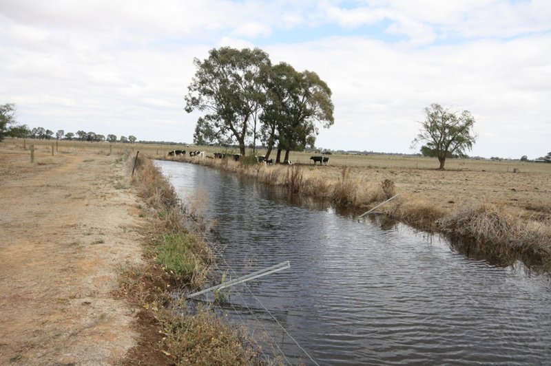 Photo - 137 Morton Road, Rochester VIC 3561 - Image 6