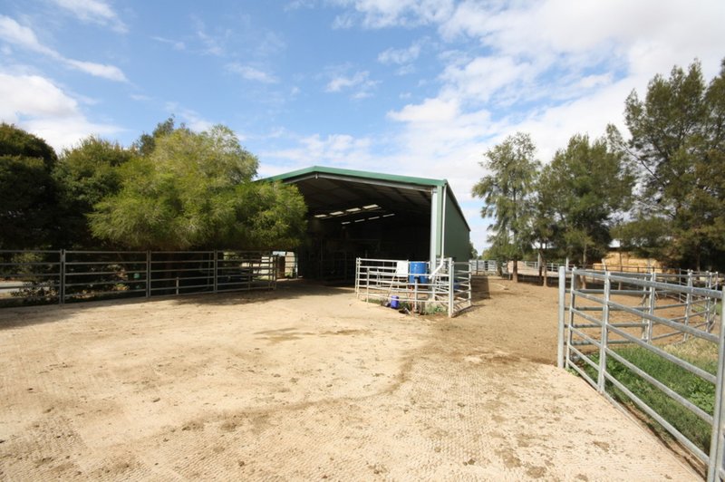 Photo - 137 Morton Road, Rochester VIC 3561 - Image 24