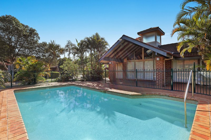 Photo - 1/37 Oak Street, Ashfield NSW 2131 - Image 9