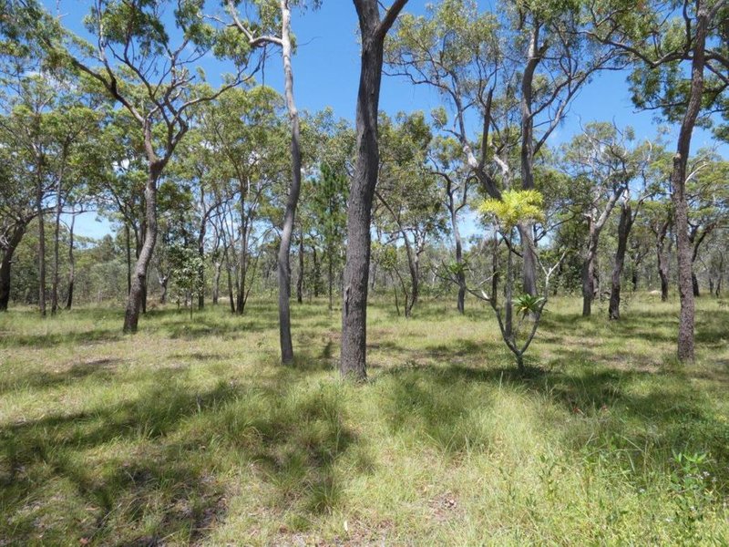 Photo - 137 Oceania Court, Deepwater QLD 4674 - Image 5