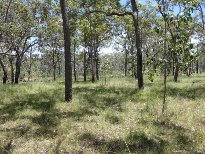 Photo - 137 Oceania Court, Deepwater QLD 4674 - Image 14