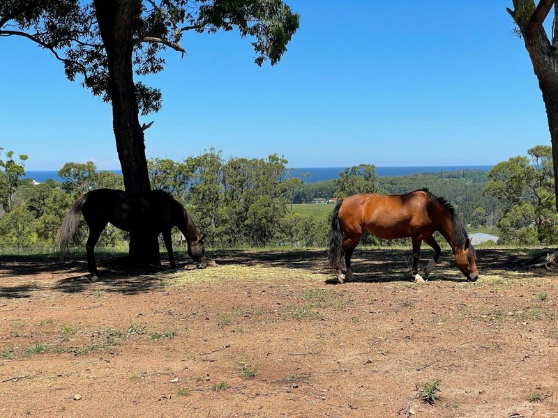 137 Red Head Road, Red Head NSW 2430