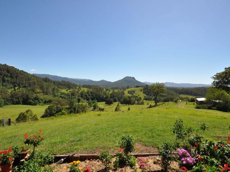 137 Yarnolds Road, Killabakh NSW 2429