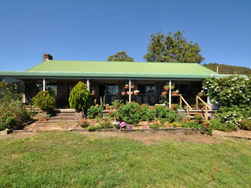 Photo - 137 Yarnolds Road, Killabakh NSW 2429 - Image 3