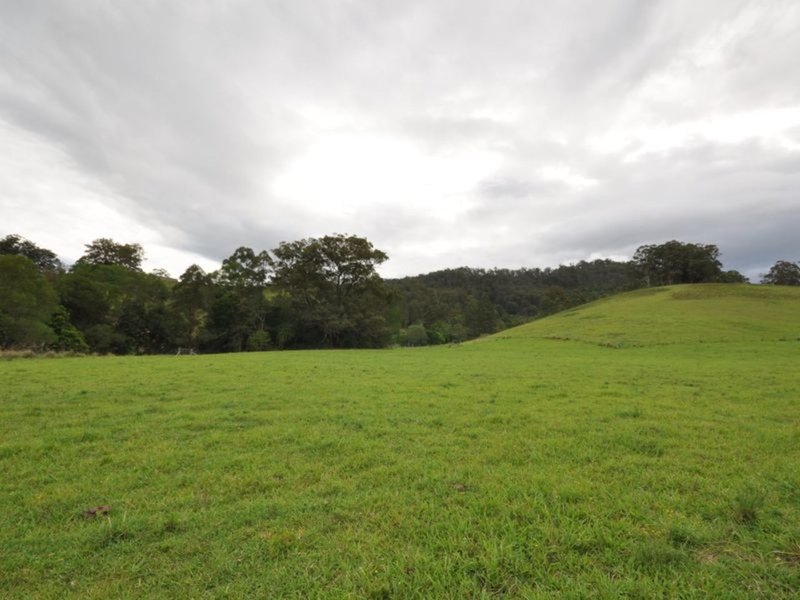 Photo - 137 Yarnolds Road, Killabakh NSW 2429 - Image 13