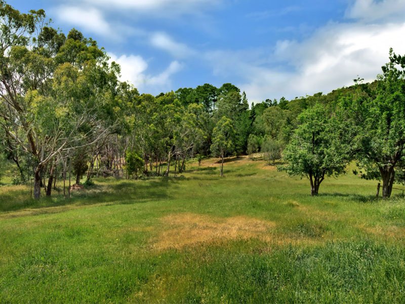 Photo - 1370 Wallan Whittlesea Road, Upper Plenty VIC 3756 - Image 12