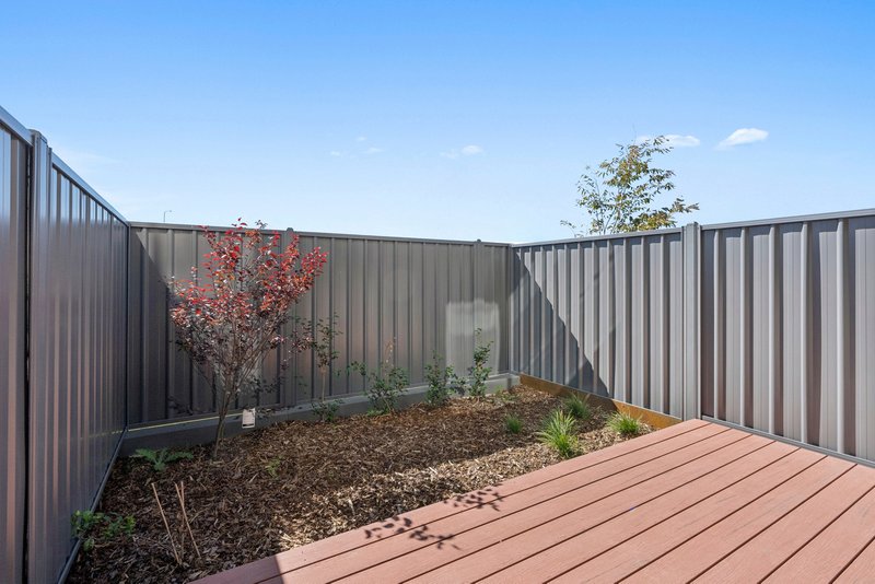Photo - 13/75 Kate Crace Street, Gungahlin ACT 2912 - Image 14