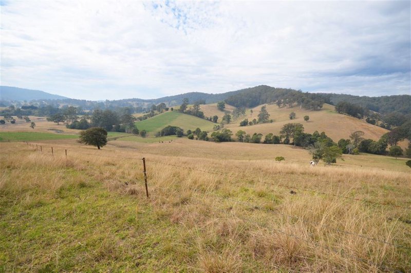 Photo - 1377 Comboyne Road, Byabarra NSW 2446 - Image 11