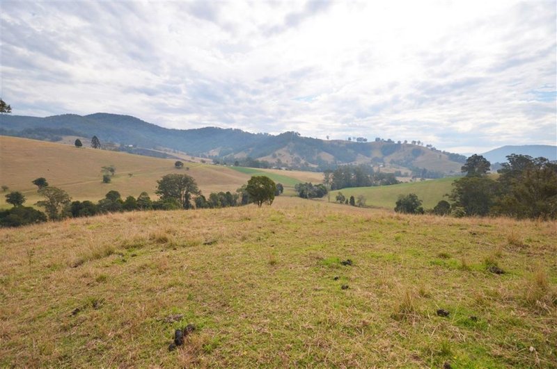 Photo - 1377 Comboyne Road, Byabarra NSW 2446 - Image 13