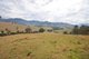 Photo - 1377 Comboyne Road, Byabarra NSW 2446 - Image 13