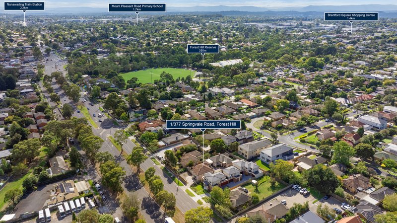 Photo - 1/377 Springvale Road, Forest Hill VIC 3131 - Image 12
