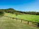 Photo - 138 Chinghee Creek Road, Lamington QLD 4285 - Image 6