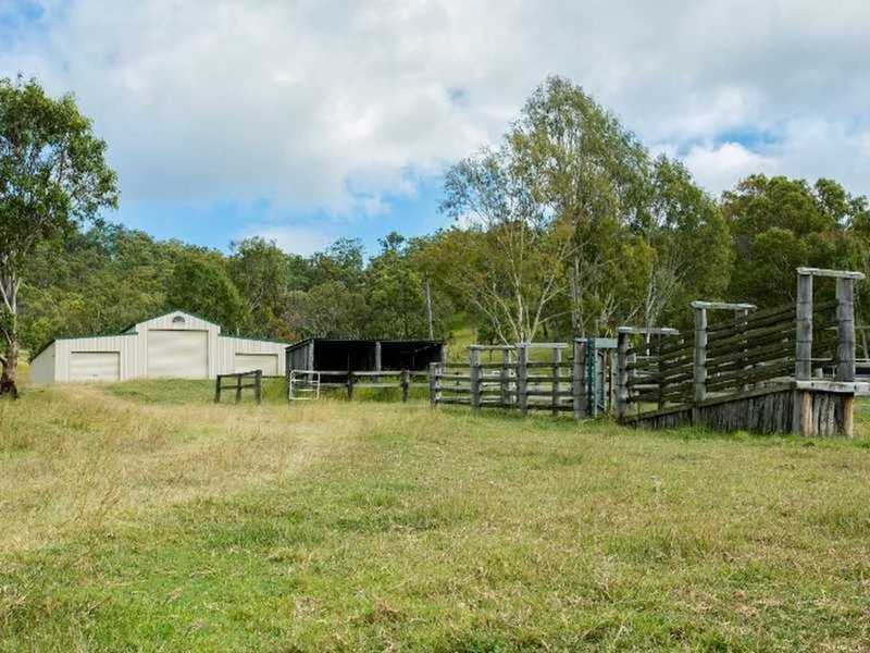 Photo - 138 Chinghee Creek Road, Lamington QLD 4285 - Image 19