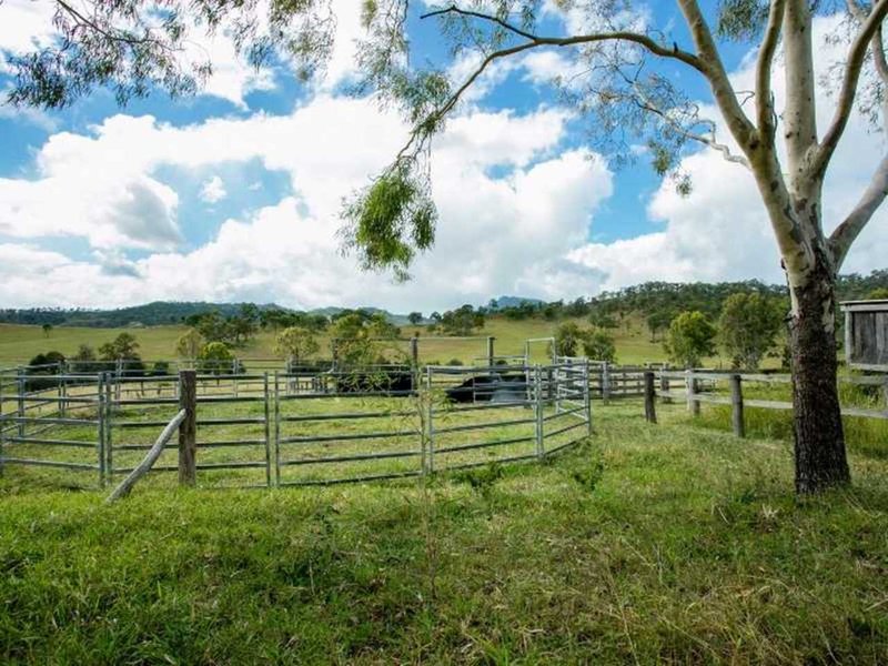 Photo - 138 Chinghee Creek Road, Lamington QLD 4285 - Image 22