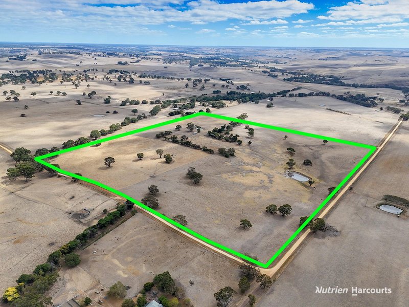 Photo - 138 Mcconachys Road, Henty VIC 3312 - Image 2