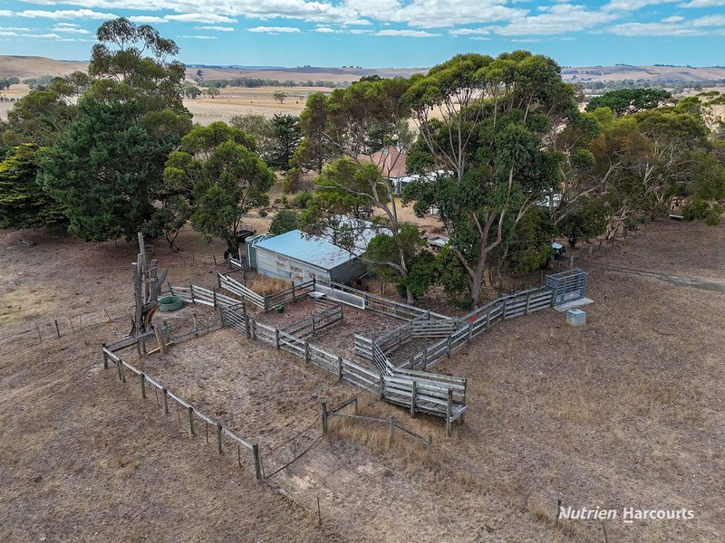 Photo - 138 Mcconachys Road, Henty VIC 3312 - Image 13