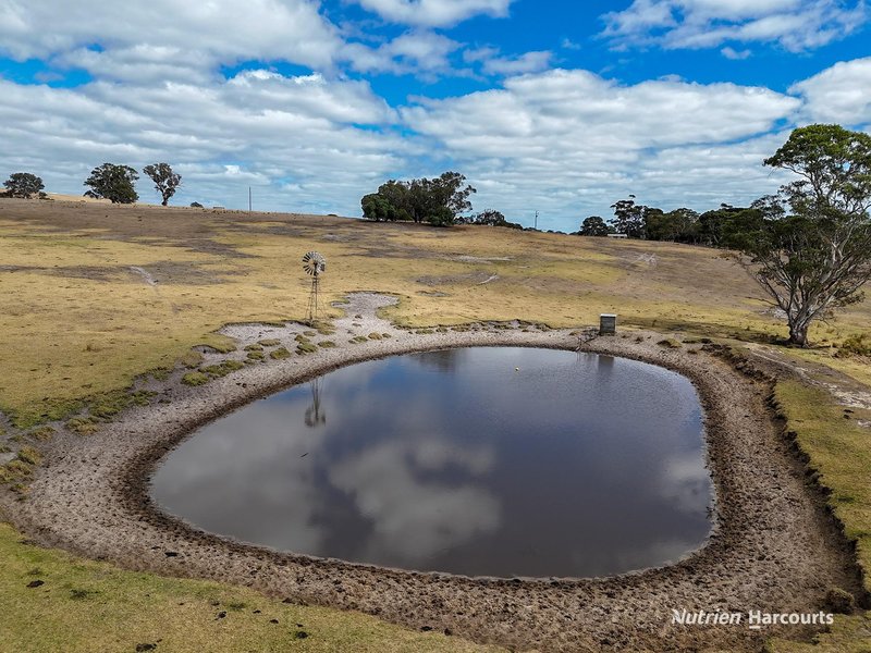 Photo - 138 Mcconachys Road, Henty VIC 3312 - Image 18