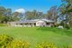 Photo - 138 Old King Creek Road, King Creek NSW 2446 - Image 2