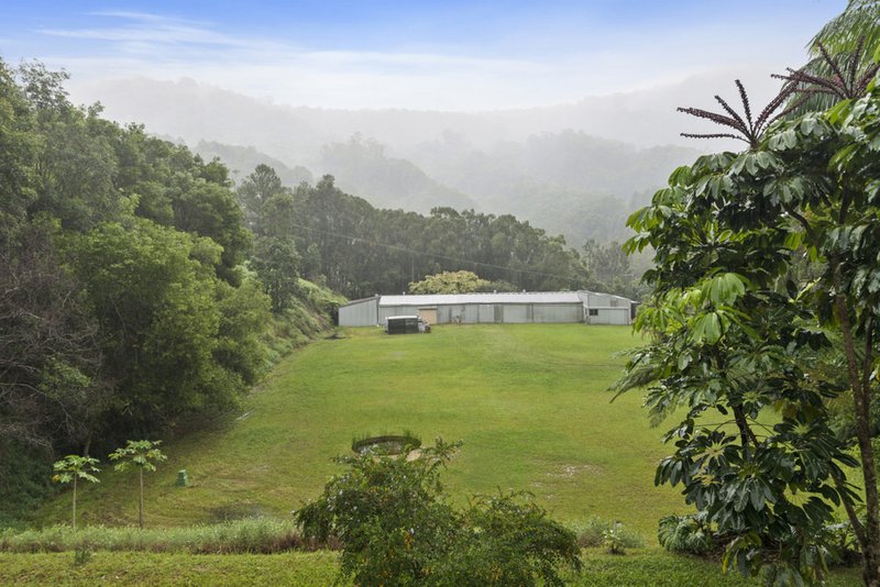 Photo - 1381 Currumbin Creek Road, Currumbin Valley QLD 4223 - Image 2