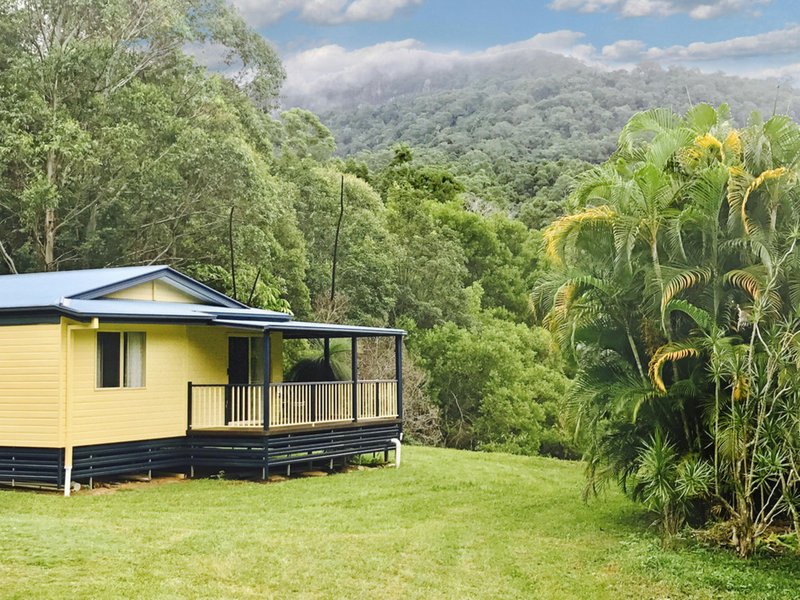 Photo - 1381 Currumbin Creek Road, Currumbin Valley QLD 4223 - Image 6