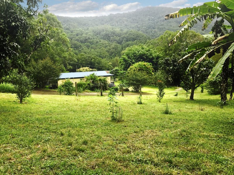 Photo - 1381 Currumbin Creek Road, Currumbin Valley QLD 4223 - Image 7