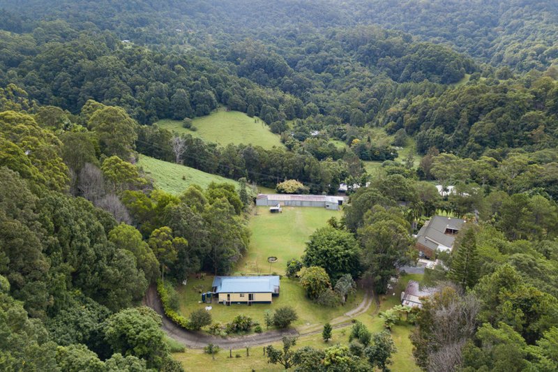 Photo - 1381 Currumbin Creek Road, Currumbin Valley QLD 4223 - Image 11