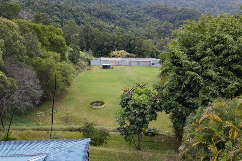 Photo - 1381 Currumbin Creek Road, Currumbin Valley QLD 4223 - Image 12