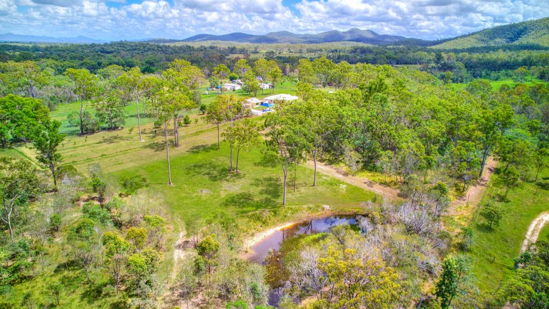 Photo - 1382 Fingerboard Road, Mount Tom QLD 4677 - Image 18