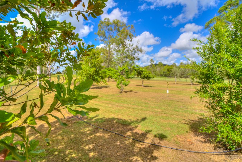 Photo - 1382 Fingerboard Road, Mount Tom QLD 4677 - Image 21