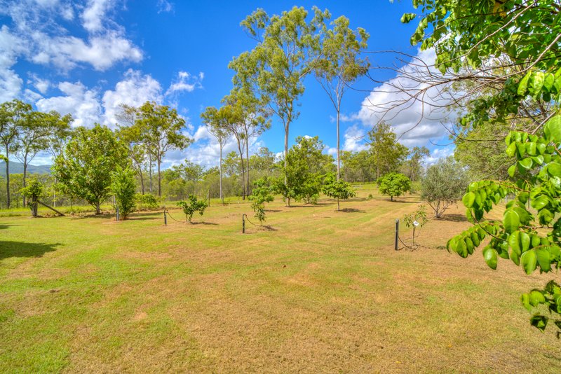 Photo - 1382 Fingerboard Road, Mount Tom QLD 4677 - Image 22