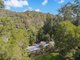 Photo - 1382 Numinbah Road, Chillingham NSW 2484 - Image 5