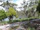 Photo - 139 Acacia Drive, Ansons Bay TAS 7264 - Image 1