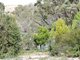 Photo - 139 Acacia Drive, Ansons Bay TAS 7264 - Image 8