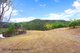 Photo - 139 And 131 Clagiraba Rd, Lot 4 Thendara Dri , Clagiraba QLD 4211 - Image 13