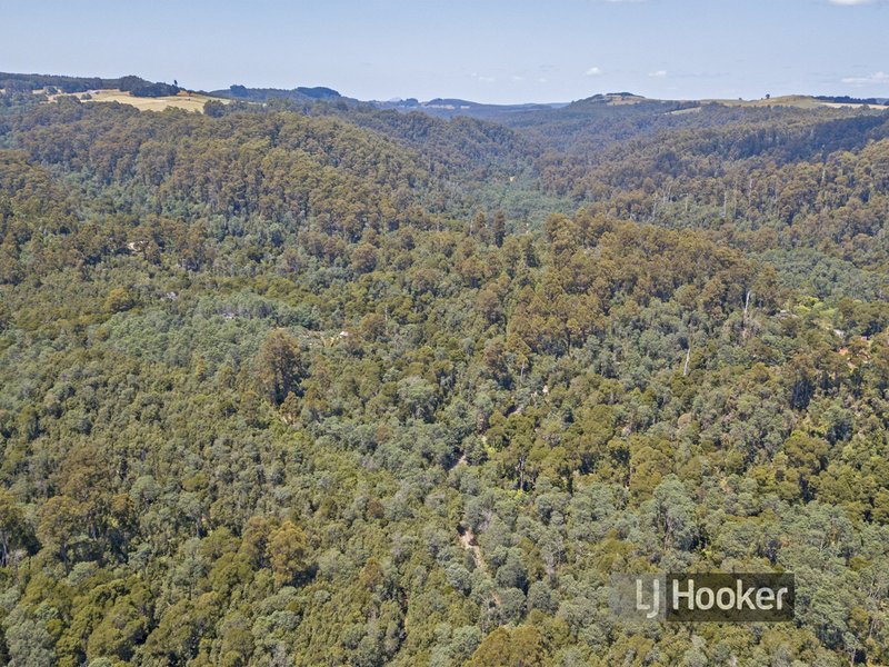 Photo - 139 Bassetts Road, Calder TAS 7325 - Image 2