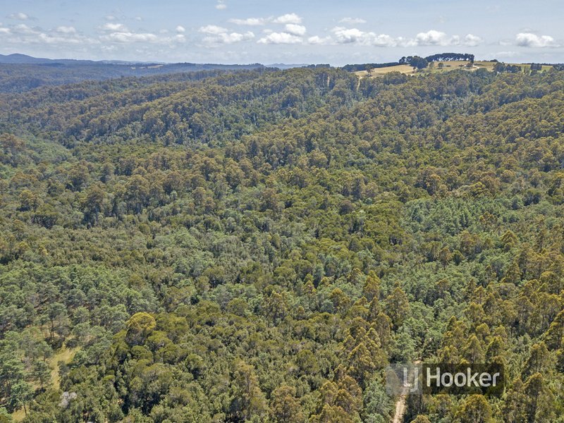 Photo - 139 Bassetts Road, Calder TAS 7325 - Image 4