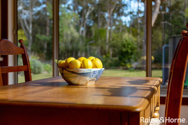 Photo - 139 Bendeela Road, Kangaroo Valley NSW 2577 - Image 32