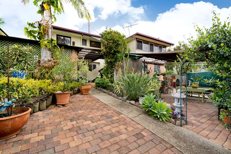 Photo - 139 Camelia Avenue, Everton Hills QLD 4053 - Image 14