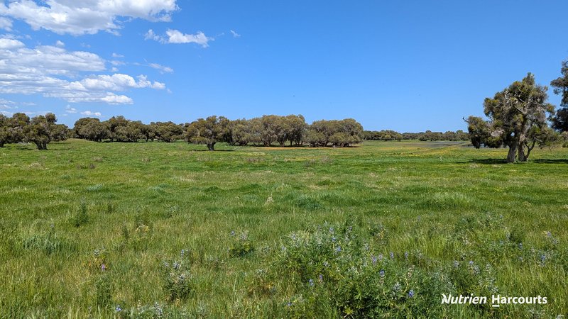 Photo - 139 Coonabidgee Road, Coonabidgee WA 6503 - Image 33