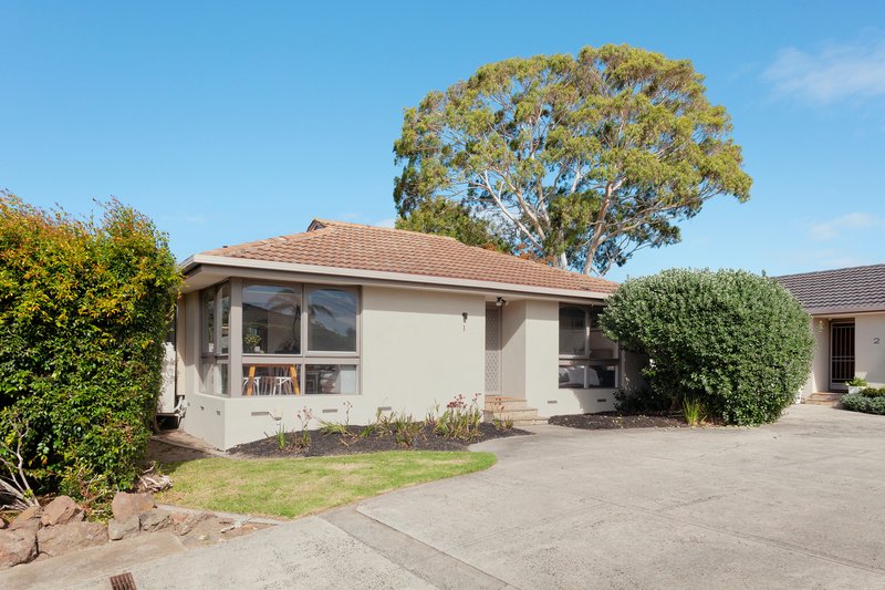 Photo - 1/39 Ivy Street, Parkdale VIC 3195 - Image 10