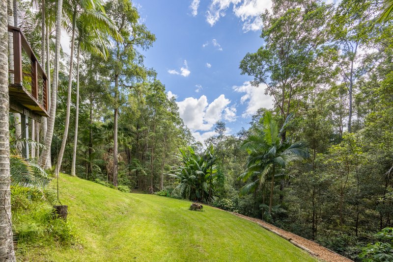 Photo - 139 Nancol Drive, Tallebudgera Valley QLD 4228 - Image 19