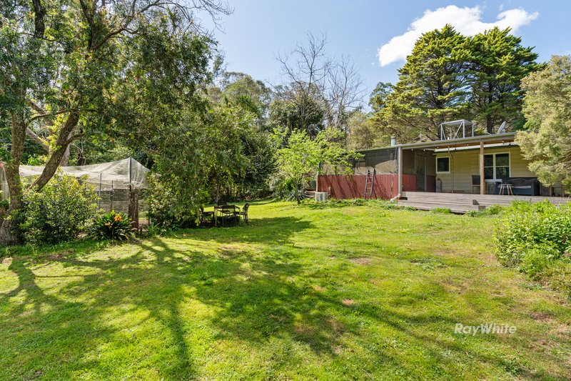 Photo - 1391 Araluen Road, Deua River Valley NSW 2537 - Image 24