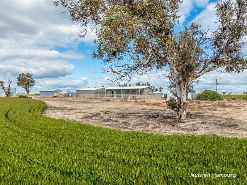 Photo - 1393 Calingiri-Goomalling Road, Calingiri WA 6569 - Image 6