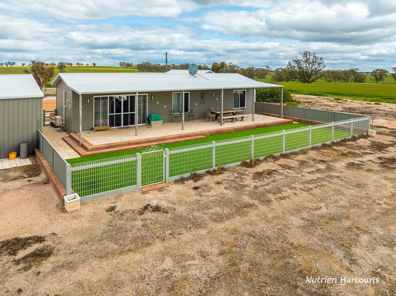 Photo - 1393 Calingiri-Goomalling Road, Calingiri WA 6569 - Image 10