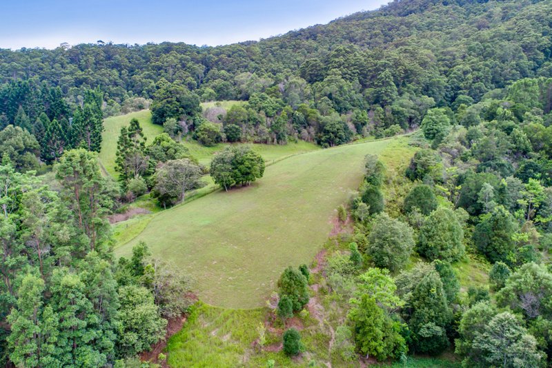 Photo - 1395 Tallebudgera Creek Road, Tallebudgera Valley QLD 4228 - Image 23