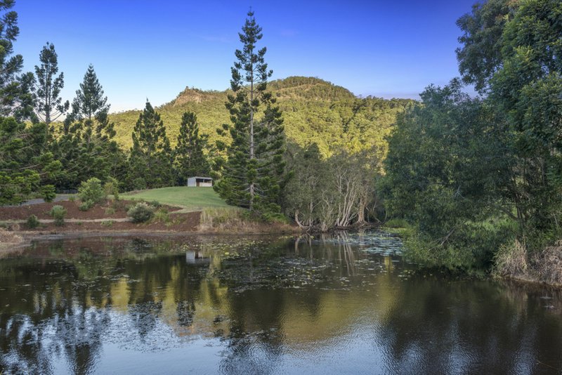 Photo - 1395 Tallebudgera Creek Road, Tallebudgera Valley QLD 4228 - Image 25