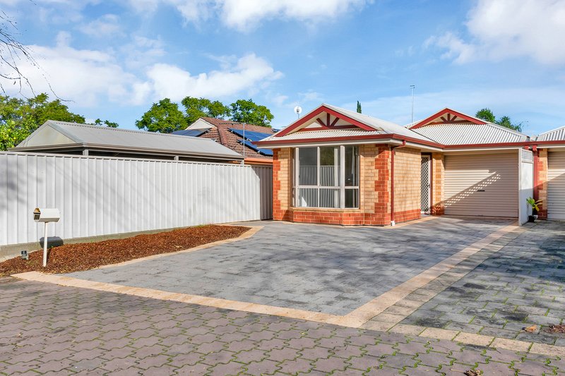 Photo - 13A Clansman Avenue, Windsor Gardens SA 5087 - Image 1